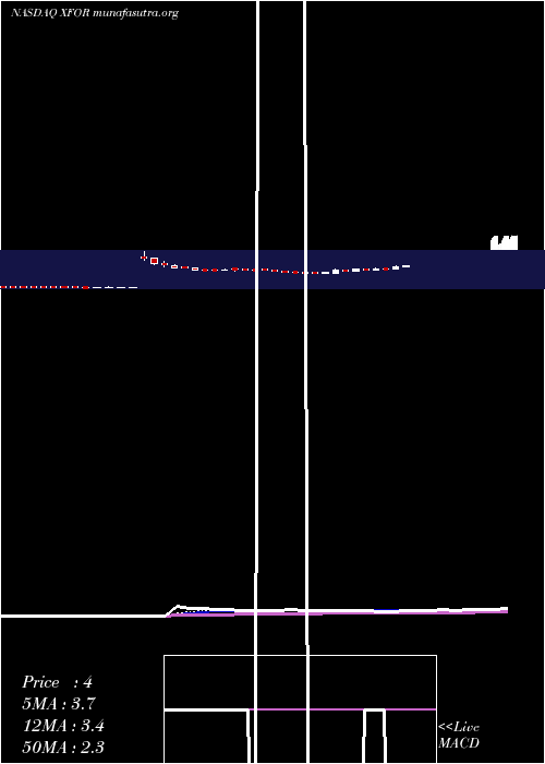  Daily chart X4Pharmaceuticals