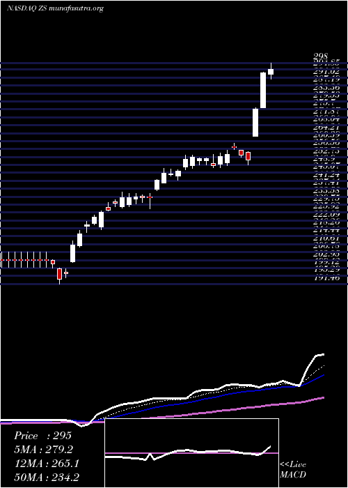  Daily chart ZscalerInc