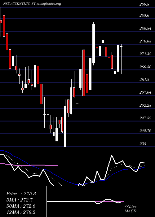  Daily chart AccentMicrocell