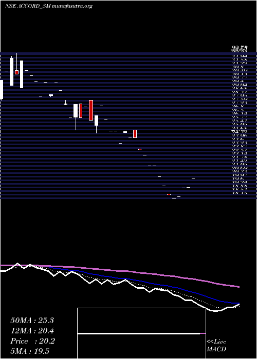  Daily chart AccordSynergy