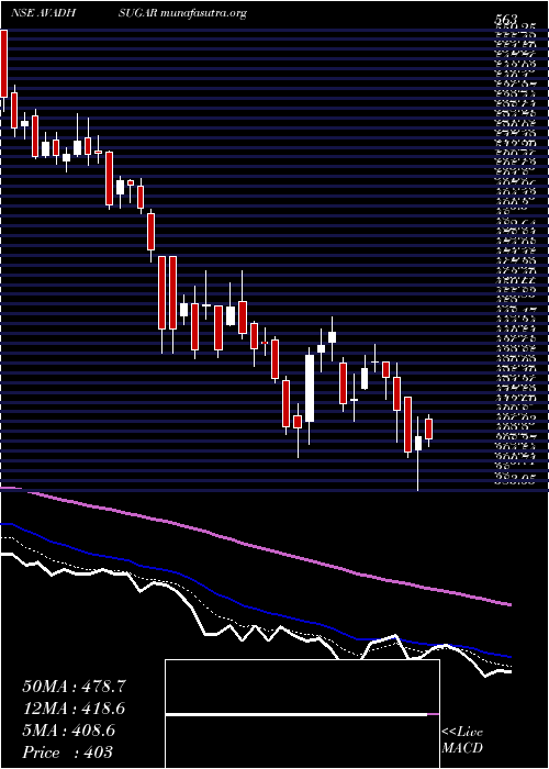  Daily chart AvadhSug