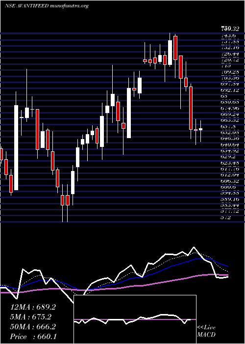  Daily chart AvantiFeeds