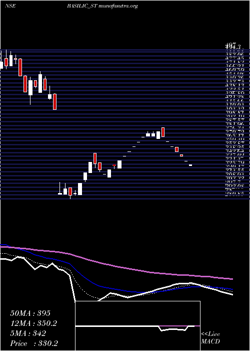  Daily chart BasilicFly