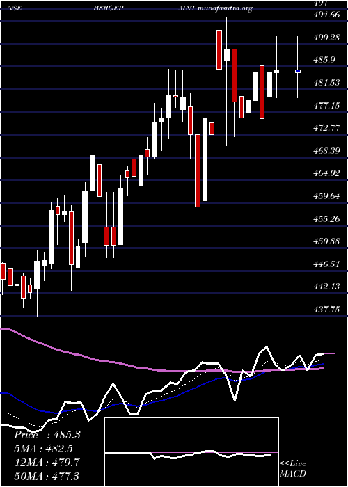  Daily chart BergerPaints