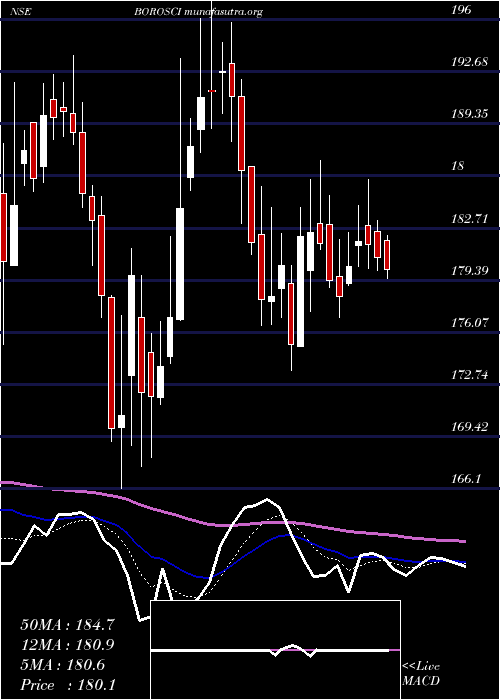  Daily chart BorosilScientific