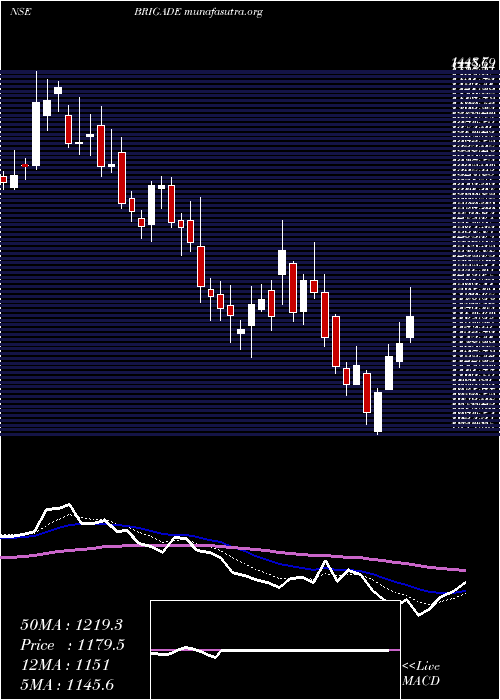  Daily chart BrigadeEnterprises