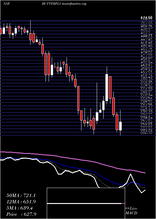  Daily chart ButterflyGandhimathi