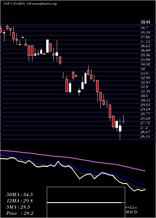  Daily chart CanarysAutomations