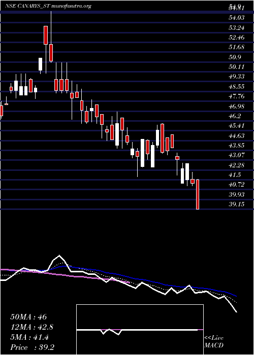  Daily chart CanarysAutomations