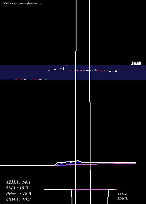  Daily chart ConsolidatedConstruction