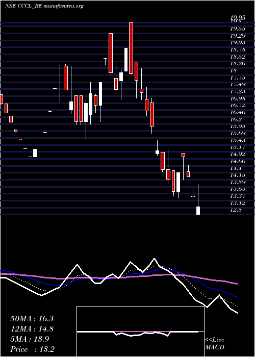  Daily chart ConsConst