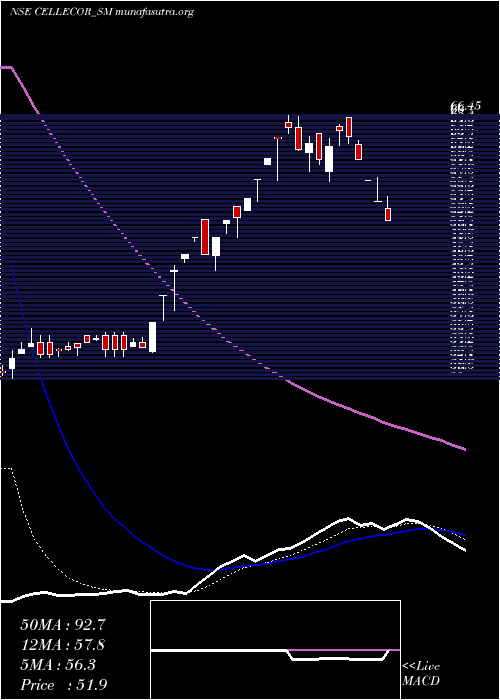  Daily chart CellecorGadgets