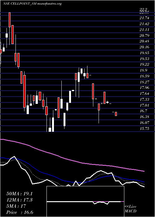  Daily chart CellPoint