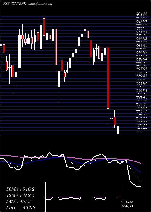  Daily chart CenturyEnka