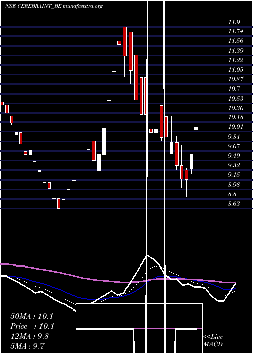  Daily chart CerebraInt