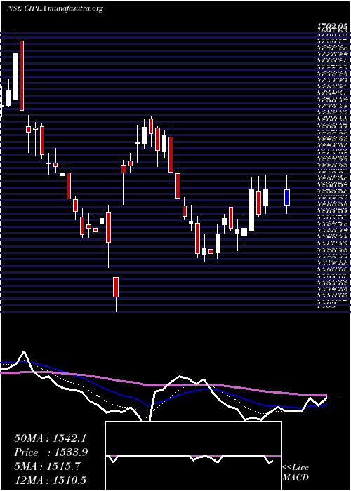  Daily chart Cipla