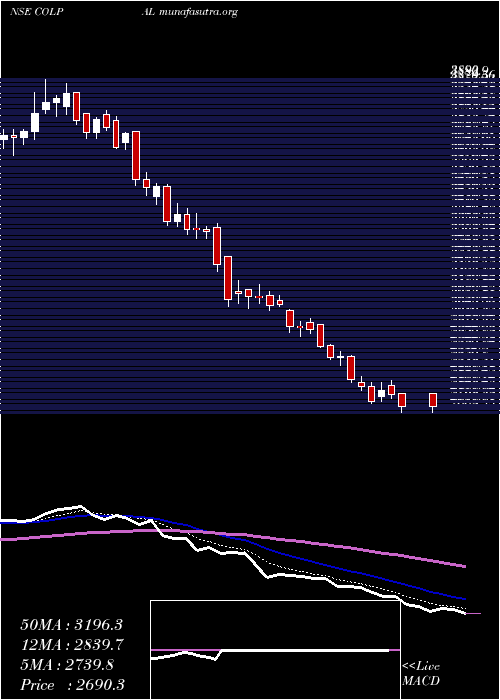  Daily chart ColgatePalmolive