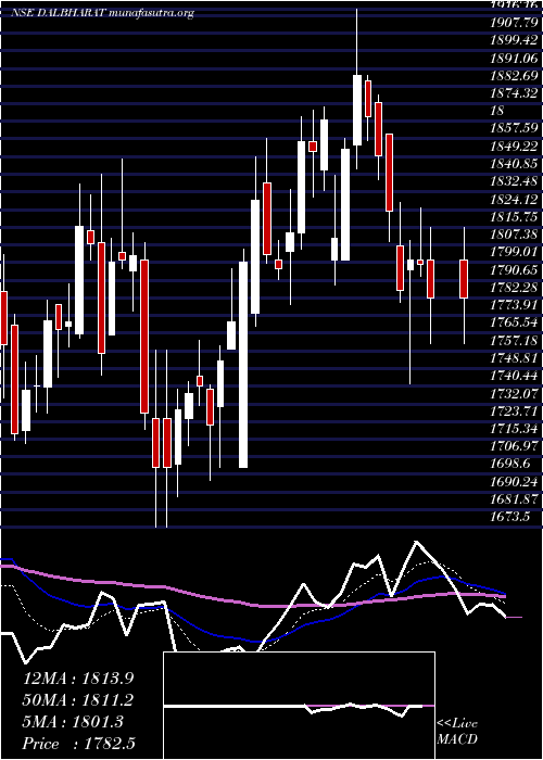  Daily chart OdishaCement