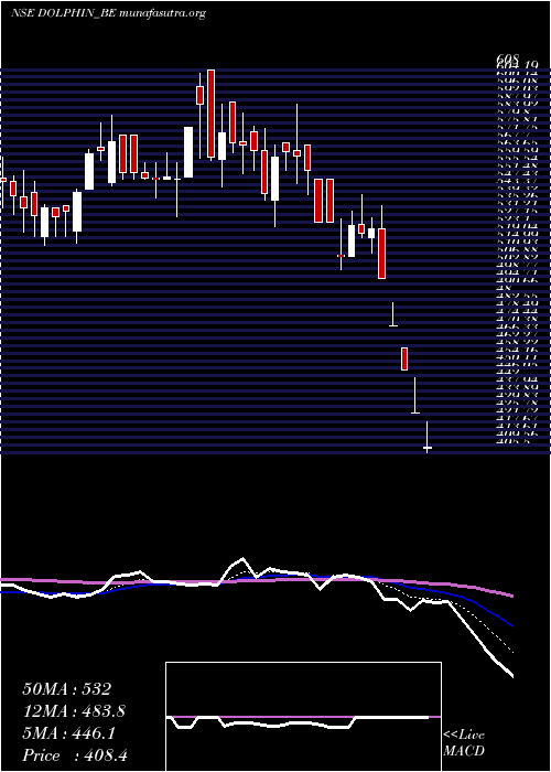  Daily chart DolphinfEnt