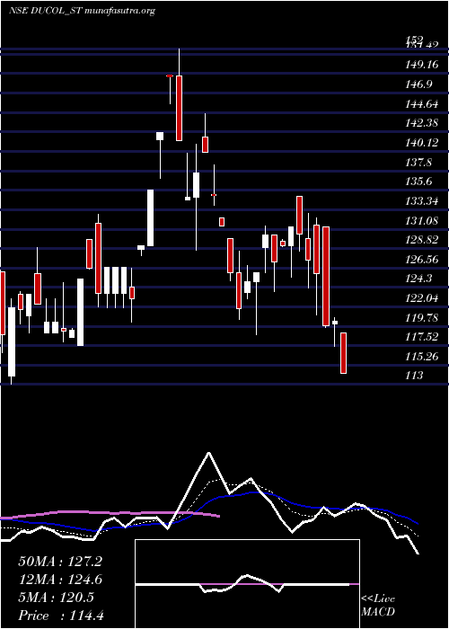  Daily chart DucolOrgs