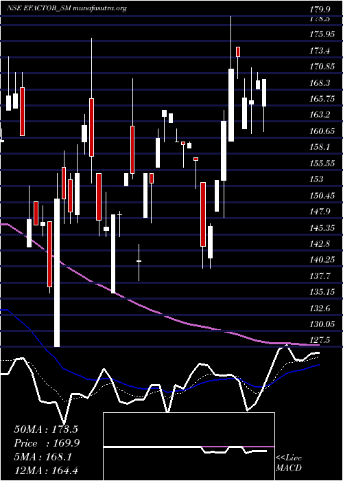  Daily chart EFactor