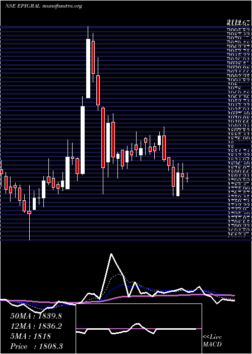  Daily chart Epigral