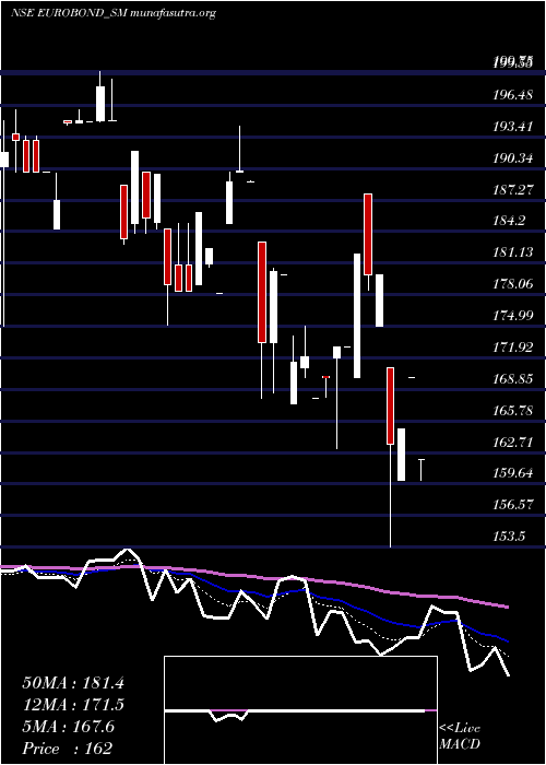  Daily chart EuroPanel