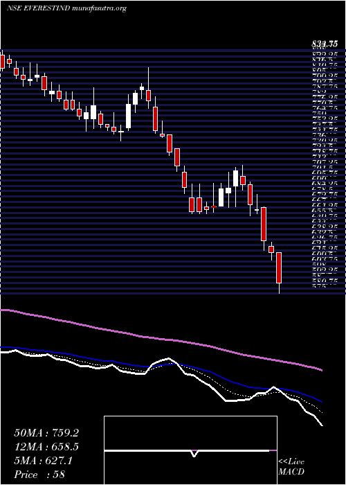  Daily chart EverestIndustries