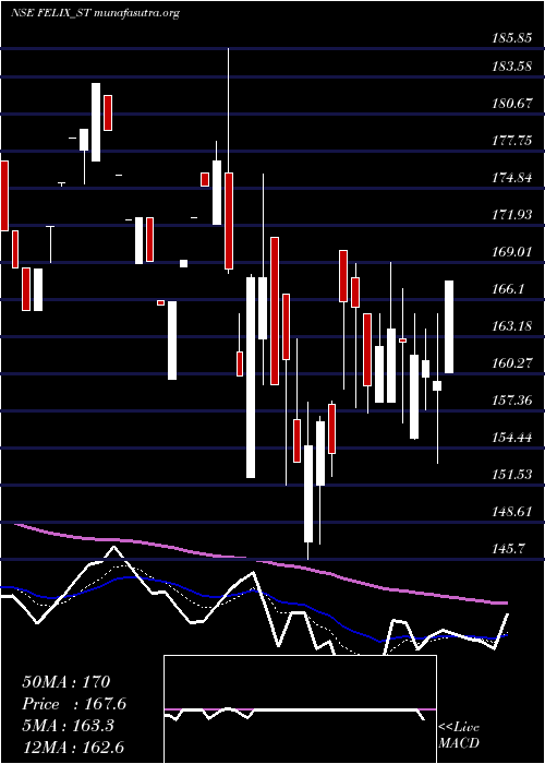  Daily chart FelixIndustries