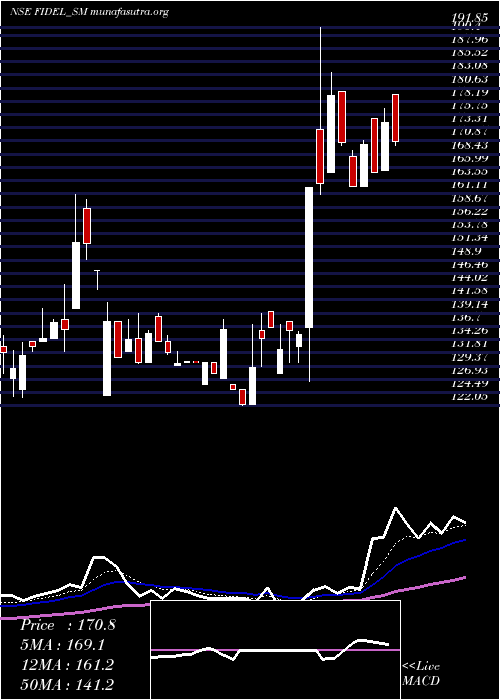  Daily chart FidelSoftech