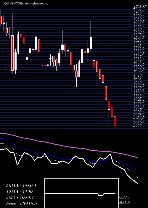  Daily chart FineOrganic