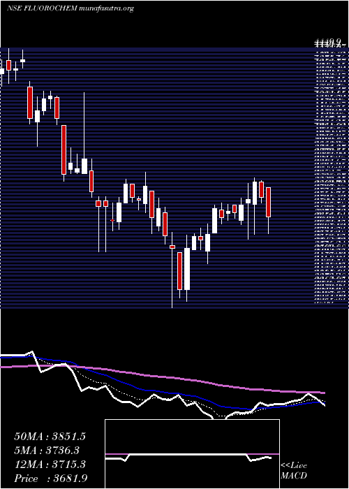  Daily chart GujaratFluorochem