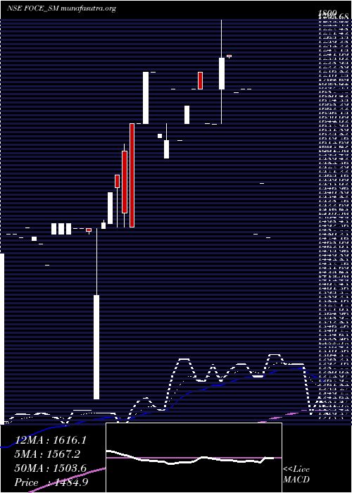  Daily chart FoceIndia