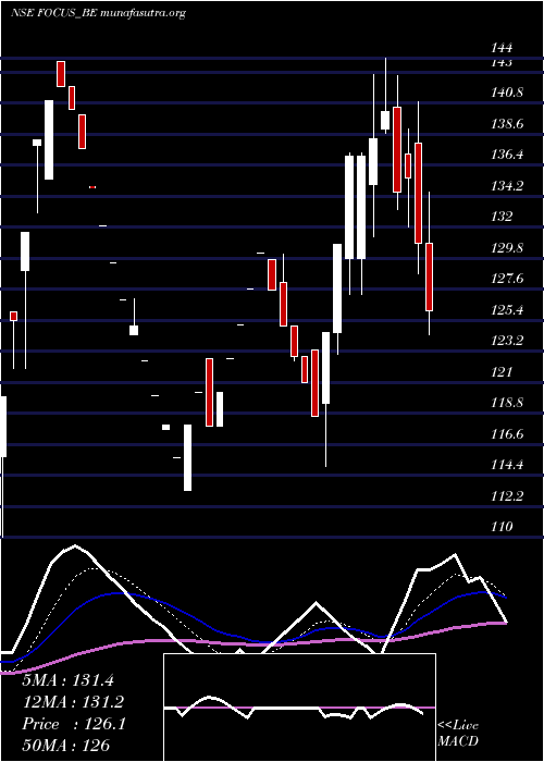  Daily chart FocusLightg