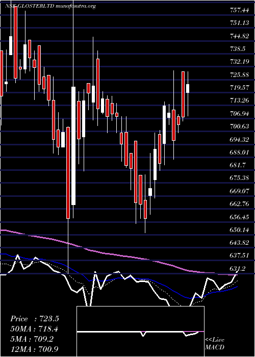  Daily chart Gloster