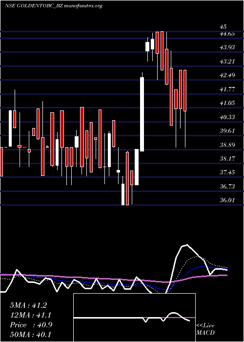  Daily chart GoldenTobacco