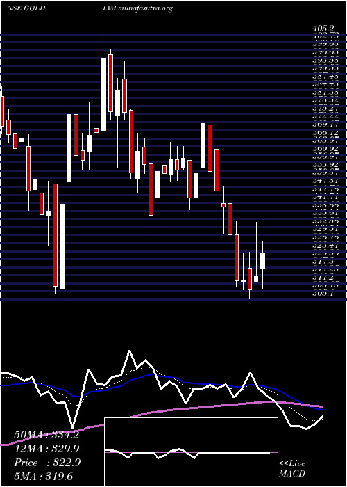  Daily chart GoldiamInternational