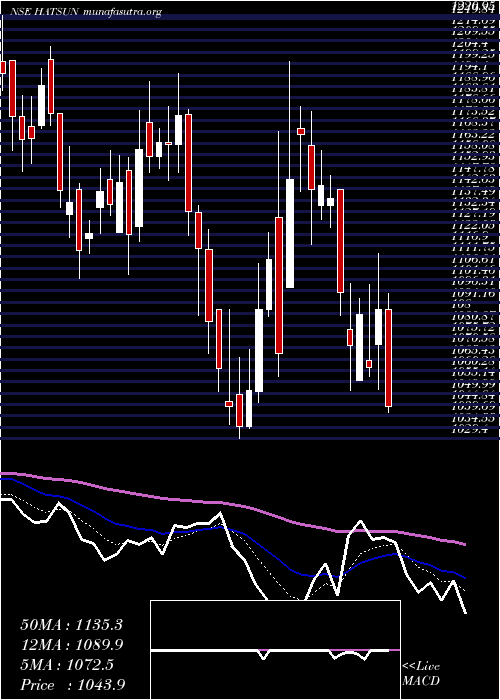  Daily chart HatsunAgro