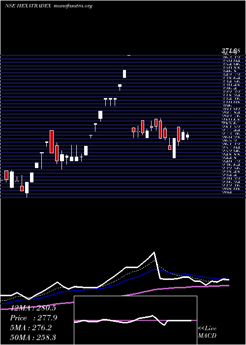  Daily chart HexaTradex