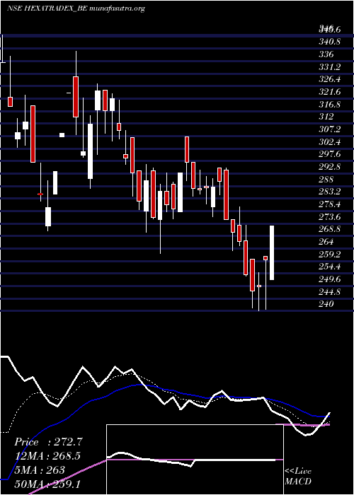  Daily chart HexaTradex