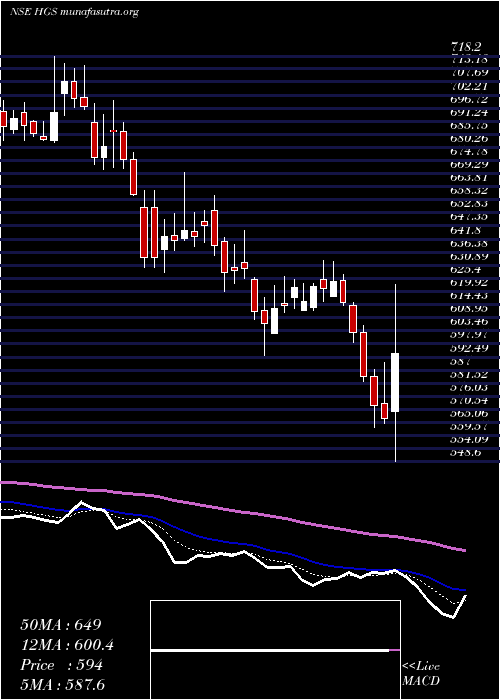  Daily chart HindujaGlobal