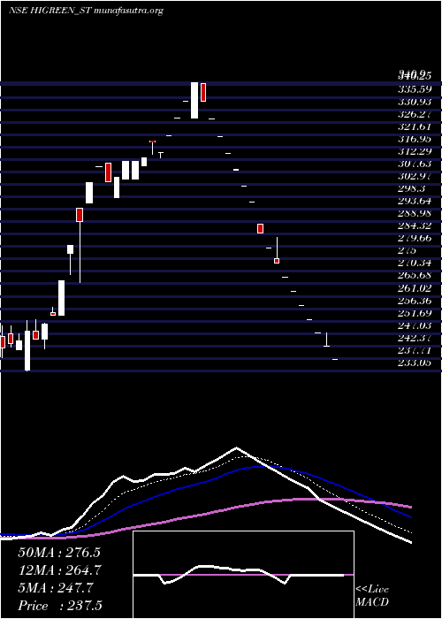  Daily chart HiGreen