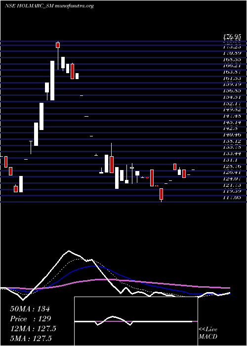  Daily chart HolmarcOpto