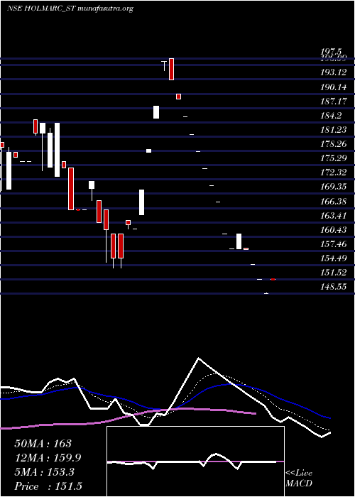  Daily chart HolmarcOpto