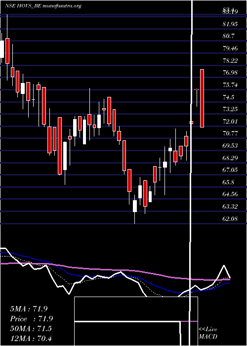  Daily chart HovServices