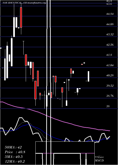  Daily chart IdenticalBrains