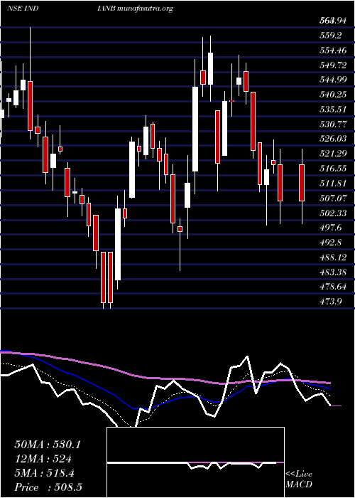  Daily chart IndianBank