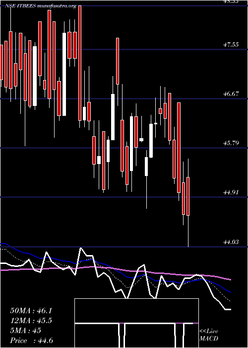  Daily chart NipInd