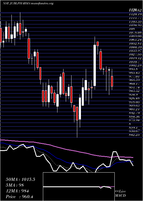  Daily chart JubilantPharmova