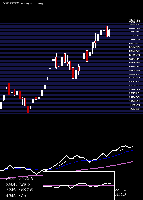  Daily chart KitexGarments